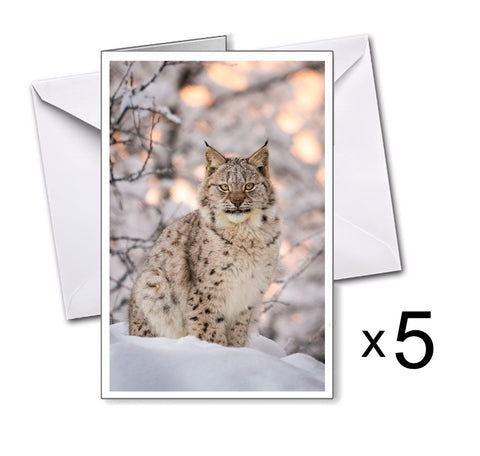 Doble kort: Lynx
