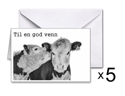 Doble kort: Lille venn/Til en god venn