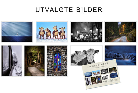 Kunstkort: Utvalgte bilder