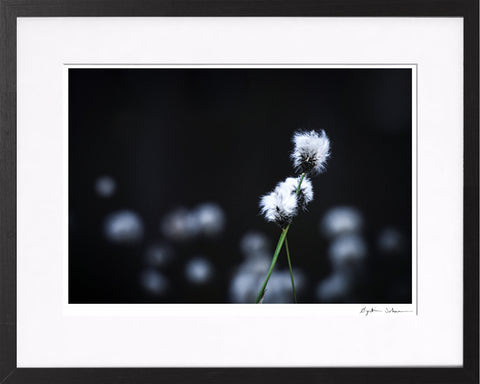 Gabriels vinger